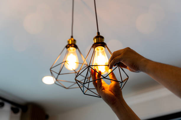 Best 24-Hour Electrician  in Genoa, IL