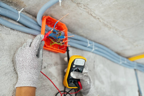 Best Electrical Upgrades for Homes  in Genoa, IL