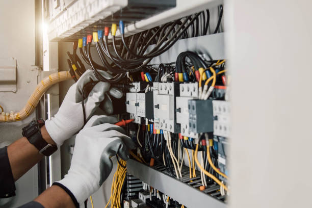 Best Electric Panel Repair  in Genoa, IL